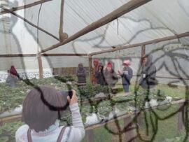 [Título n/d] : lote nº 002, pasta nº 000033, doc. nº 000038 [imagem] / Fotógrafo(a) : [autoria n/d].