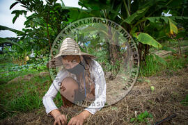 [Título n/d] : lote nº 002, pasta nº 001317, doc. nº 000045 [imagem] / Fotógrafo(a) : [autoria n/d].