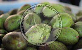 [Título n/d] : lote nº 002, pasta nº 001319, doc. nº 000052 [imagem] / Fotógrafo(a) : [autoria n/d].