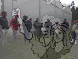 [Título n/d] : lote nº 002, pasta nº 000033, doc. nº 000008 [imagem] / Fotógrafo(a) : [autoria n/d].