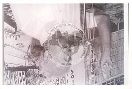 Gregório Bezerra (Brasil, [sem data]) [fotografia] / Fotógrafo(a) : Douglas Mansur. -- Ref.: BR-SPMST_MST-SN-CIN_AMP_001543-012020-PER.