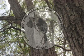 [Título n/d] : lote nº 002, pasta nº 000008, doc. nº 000027 [imagem] / Fotógrafo(a) : [autoria n/d].