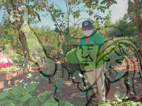 Original Objeto digital not accessible