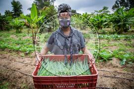 [Título n/d] : lote nº 002, pasta nº 001317, doc. nº 000031 [imagem] / Fotógrafo(a) : [autoria n/d].