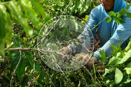 [Título n/d] : lote nº 002, pasta nº 001315, doc. nº 000034 [imagem] / Fotógrafo(a) : [autoria n/d].