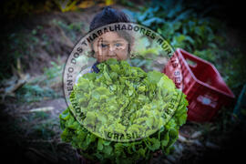 [Título n/d] : lote nº 002, pasta nº 001337, doc. nº 000006 [imagem] / Fotógrafo(a) : [autoria n/d].