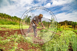 [Título n/d] : lote nº 002, pasta nº 001317, doc. nº 000088 [imagem] / Fotógrafo(a) : [autoria n/d].