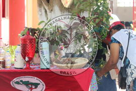 [Título n/d] : lote nº 002, pasta nº 000014, doc. nº 000010 [imagem] / Fotógrafo(a) : [autoria n/d].