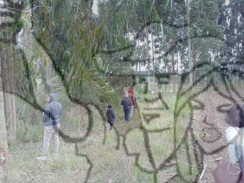 Original Objeto digital not accessible