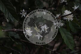 [Título n/d] : lote nº 002, pasta nº 001313, doc. nº 000058 [imagem] / Fotógrafo(a) : [autoria n/d].