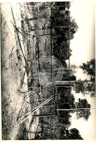 Original Digitaal object not accessible