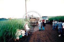 Acampamento "Nova Canudos" do MST (Porto Feliz-SP, fev. 1999) [fotografia] / Fotógrafo(a) : Douglas Mansur. -- Ref.: BR-SPMST_MST-SN-CIN_AMP_000047-000357-ACP.