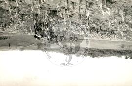 Produção de acampament0 (Rio Grande do Sul, [sem data]) [fotografia] / Fotógrafo(a) : Assis Hofman ; J. Ribber ; Arquivo MST. -- Ref.: BR-SPMST_MST-SN-CIN_AMP_001983-015196-PDU.