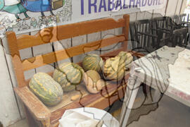 [Título n/d] : lote nº 002, pasta nº 001351, doc. nº 000387 [imagem] / Fotógrafo(a) : [autoria n/d].