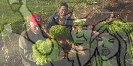 [Título n/d] : lote nº 002, pasta nº 001351, doc. nº 000452 [imagem] / Fotógrafo(a) : [autoria n/d].