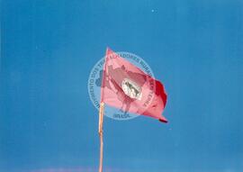 Assentamento "Tamarana" do MST (Paraná, [sem data]) [fotografia] / Fotógrafo(a) : Maria Luísa Mendonça. -- Ref.: BR-SPMST_MST-SN-CIN_AMP_000171-001229-ASS.