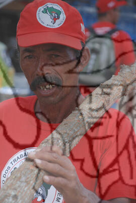 [Título n/d] : lote nº 002, pasta nº 000074, doc. nº 000166 [imagem] / Fotógrafo(a) : [autoria n/d].