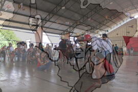 [Título n/d] : lote nº 002, pasta nº 001311, doc. nº 001659 [imagem] / Fotógrafo(a) : [autoria n/d].