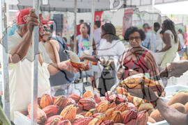 [Título n/d] : lote nº 002, pasta nº 001319, doc. nº 000098 [imagem] / Fotógrafo(a) : [autoria n/d].