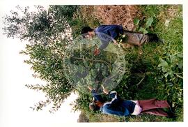 Assentamento "30 de outubro" do MST (Santa Catarina, [sem data]) [fotografia] / Fotógrafo(a) : Douglas Mansur. -- Ref.: BR-SPMST_MST-SN-CIN_AMP_000199-001439-ASS.