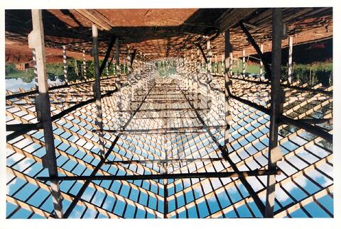 Original Document numérique not accessible