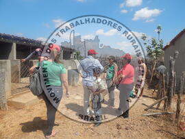 [Título n/d] : lote nº 002, pasta nº 001312, doc. nº 000031 [imagem] / Fotógrafo(a) : [autoria n/d].