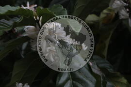 [Título n/d] : lote nº 002, pasta nº 001313, doc. nº 000053 [imagem] / Fotógrafo(a) : [autoria n/d].