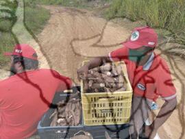 [Título n/d] : lote nº 002, pasta nº 001351, doc. nº 000175 [imagem] / Fotógrafo(a) : [autoria n/d].