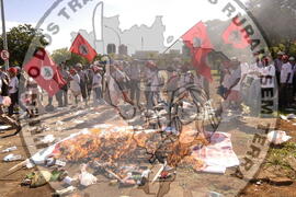 [Título n/d] : lote nº 002, pasta nº 000044, doc. nº 000494 [imagem] / Fotógrafo(a) : [autoria n/d].