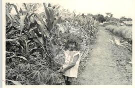 Acampamentos Diversos do MST (São Paulo (Estado), [sem data]) [fotografia] / Fotógrafo(a) : Diversos. -- Ref.: BR-SPMST_MST-SN-CIN_AMP_000057-000556-ACP.