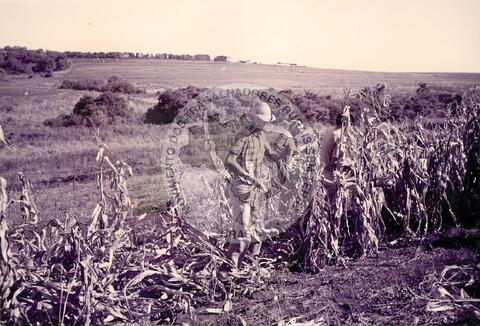 Original Digitaal object not accessible