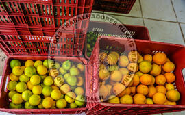 [Título n/d] : lote nº 002, pasta nº 001348, doc. nº 000009 [imagem] / Fotógrafo(a) : [autoria n/d].