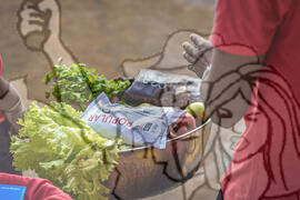 [Título n/d] : lote nº 002, pasta nº 000035, doc. nº 000019 [imagem] / Fotógrafo(a) : [autoria n/d].