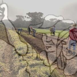 [Título n/d] : lote nº 002, pasta nº 001351, doc. nº 000220 [imagem] / Fotógrafo(a) : [autoria n/d].