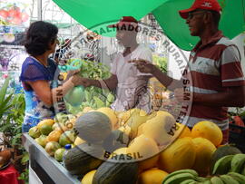 [Título n/d] : lote nº 002, pasta nº 001319, doc. nº 000048 [imagem] / Fotógrafo(a) : [autoria n/d].
