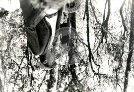 Erni Knorst [Contag-RS, Vice-Presidente] (Sarandi-RS, 19 out. 1986) [fotografia] / Fotógrafo(a) : Jussara Venon. -- Ref.: BR-SPMST_MST-SN-CIN_AMP_001514-011963-PER.