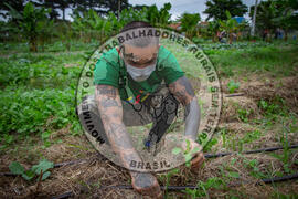 [Título n/d] : lote nº 002, pasta nº 001317, doc. nº 000051 [imagem] / Fotógrafo(a) : [autoria n/d].