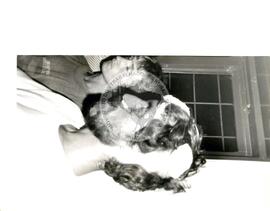 Violências diversas (Santa Catarina, [sem data]) [fotografia] / Fotógrafo(a) : Arquivo MST ; Chiquinho ; Vanderlita. -- Ref.: BR-SPMST_MST-SN-CIN_AMP_001802-013005-VPP.