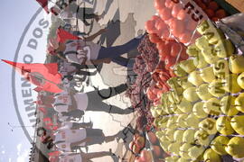 [Título n/d] : lote nº 002, pasta nº 000044, doc. nº 000378 [imagem] / Fotógrafo(a) : [autoria n/d].