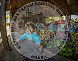 [Título n/d] : lote nº 002, pasta nº 001337, doc. nº 000003 [imagem] / Fotógrafo(a) : [autoria n/d].