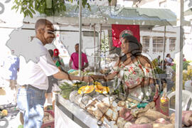 [Título n/d] : lote nº 002, pasta nº 001319, doc. nº 000062 [imagem] / Fotógrafo(a) : [autoria n/d].