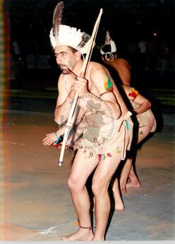 Original Document numérique not accessible