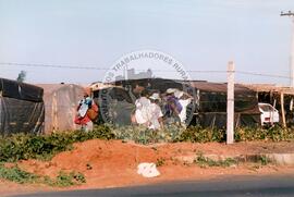 Acampamento "Dandara" do MST (Nova Olímpia-SP, [sem data]) [fotografia] / Fotógrafo(a) : Douglas Mansur. -- Ref.: BR-SPMST_MST-SN-CIN_AMP_000050-000439-ACP.