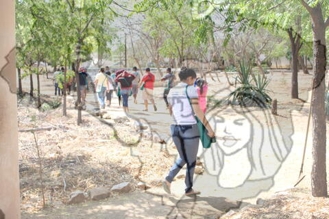 Original Objeto digital not accessible