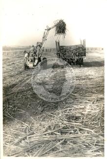 Original Digitaal object not accessible