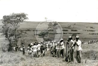 Original Document numérique not accessible