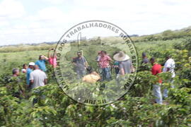 [Título n/d] : lote nº 002, pasta nº 001313, doc. nº 000035 [imagem] / Fotógrafo(a) : [autoria n/d].