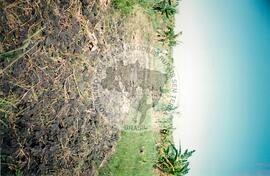 Visita à África - Maguilla (Africa, [sem data]) [fotografia] / Fotógrafo(a) : Arquivo MST. -- Ref.: BR-SPMST_MST-SN-CIN_AMP_001100-009016-RIT.