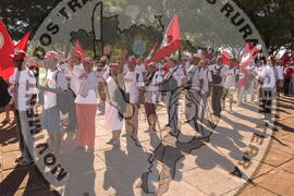 [Título n/d] : lote nº 002, pasta nº 000044, doc. nº 000499 [imagem] / Fotógrafo(a) : [autoria n/d].