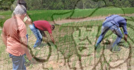 [Título n/d] : lote nº 002, pasta nº 001322, doc. nº 000024 [imagem] / Fotógrafo(a) : [autoria n/d].